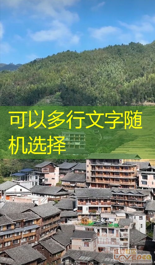 乡镇基层服务中心：建设与运营全攻略