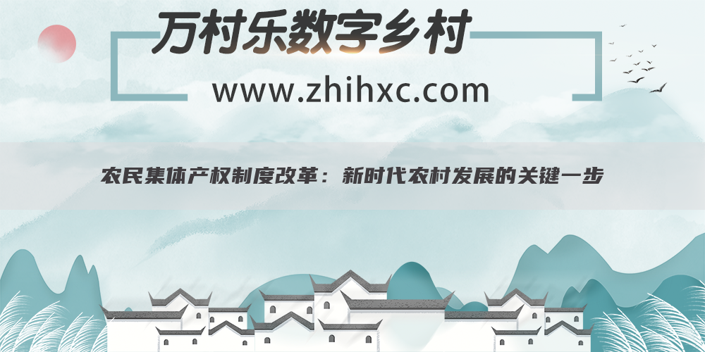 农民集体产权制度改革：新时代农村发展的关键一步