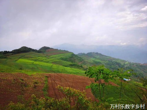 红河州人大常委会扎实推进人大代表活动阵地规范化建设