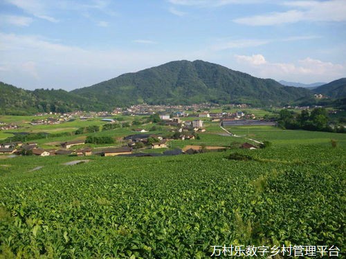 数字乡村建设提速 为乡村发展添“智”提“质”