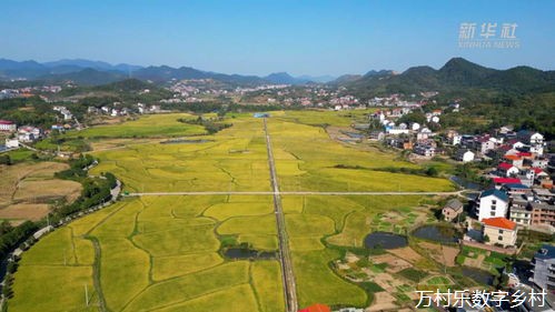 数字乡村建设框架协议范文