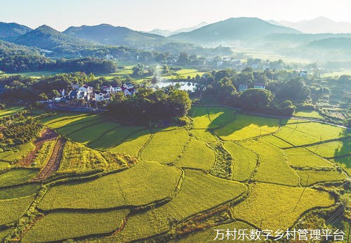 五河县扎实推进国家级电子商务进农村综合示范项目，激发乡村发展新动能