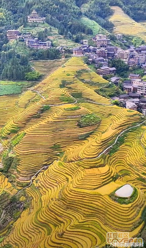 把握现阶段推进数字乡村建设的三个关键