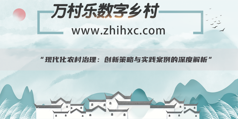 “现代化农村治理：创新策略与实践案例的深度解析”