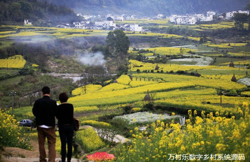 循环农业助力乡村振兴：概念、挑战、技术实践与政策探索