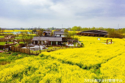 智慧农业发展：未来乡村的振兴之路