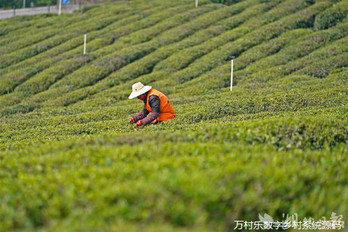 乡村振兴战略下的新路径：激发乡村发展内生动力