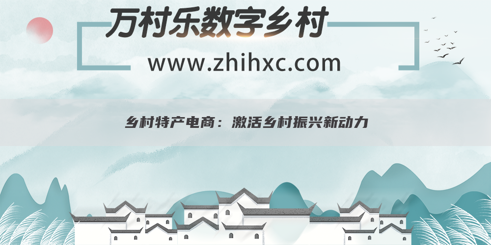 乡村特产电商：激活乡村振兴新动力