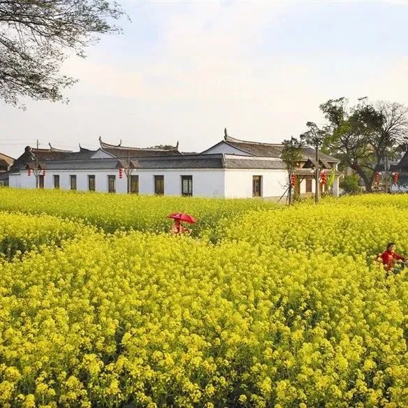 乡村建设既要重“硬件”也要重“软件”