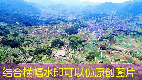 数字乡村系统平台搭建：实现乡村振兴的关键步骤