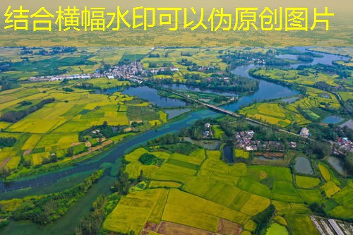 数字乡村系统平台搭建：实现乡村振兴的关键步骤