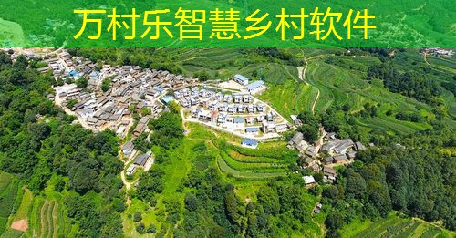 乡村治理与社会保障：构建健全体系的关键路径