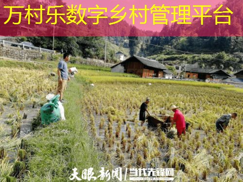 农业资源循环利用：策略与实践