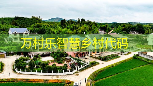 乡村居民生活质量提升之路：基础设施改善与多元化经济发展策略