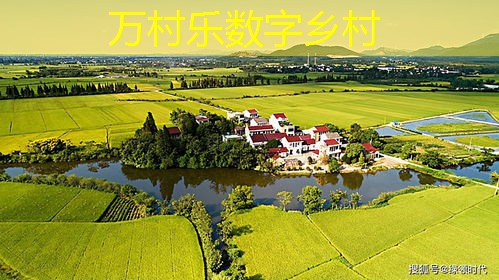 农业自动化设备研发进展：从背景到未来趋势