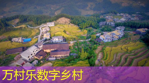 乡村治理现代化与智慧平台：推动农村发展的关键