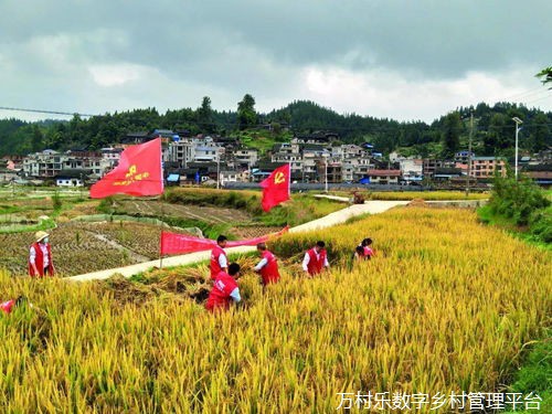 智慧乡村建设中的数字化管理：应用案例与未来趋势