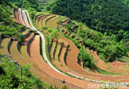 智慧乡村建设中的数字化管理：应用案例与未来趋势