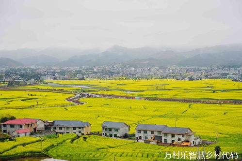 数字乡村建设的评估评价体系构建：核心要素与可持续发展模型解析