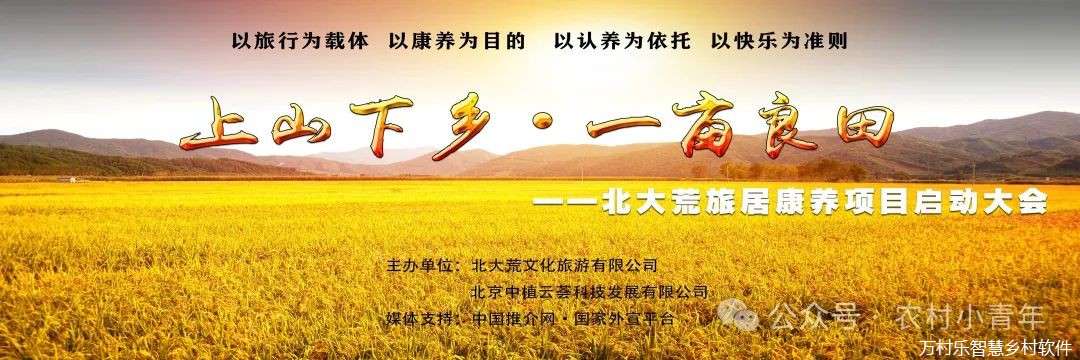 “三农”新篇章：乡村振兴的历史性跨越(图4)