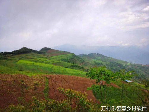 乡村振兴数字广播节目的力量与策略：农业技术普及与市场潜力激发