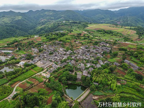 数字电视服务在乡村振兴中的多元化应用：从战略布局到市场拓展