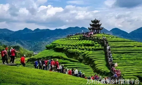 乡村振兴物流升级之路：数字乡村物流配送优化方案