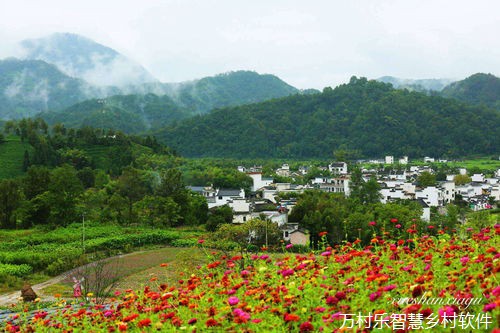 农村社会服务体系建设与乡村振兴：构建和谐乡村新篇章