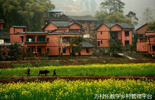 智慧乡村：数字技术如何重塑农村未来——探索数字乡村建设方案