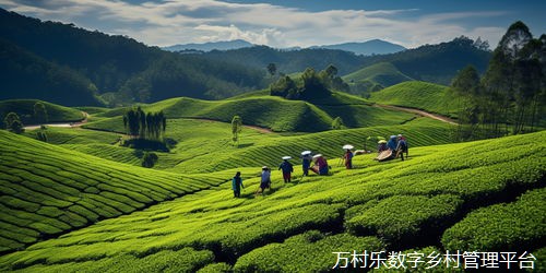 数字乡村建设的首选你知道是什么吗？