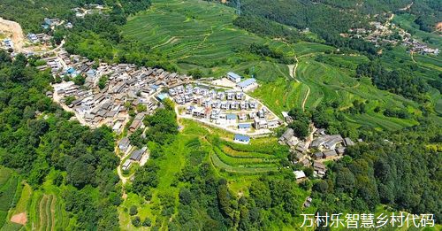 智慧乡村建设：农村文化遗产的数字化保护策略与实践