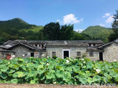 农村集体产权改革助力乡村产业振兴：政策解读与市场开拓之路