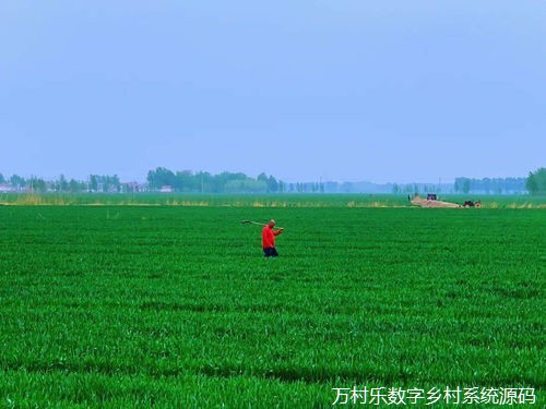 打破限制、整合资源、串珠成链——兰州市城关区“烟雨兰山”乡村振兴示范带建设鏖战正酣