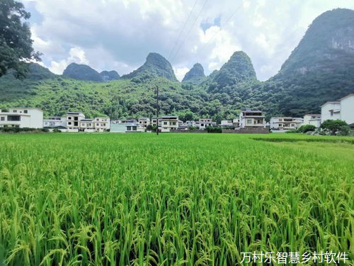 打破限制、整合资源、串珠成链——兰州市城关区“烟雨兰山”乡村振兴示范带建设鏖战正酣