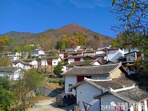 兰州打造“烟雨兰山”乡村振兴示范带　最新进展来了