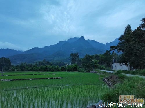 奋力绘就宜居宜业和美乡村建设的生态新画卷