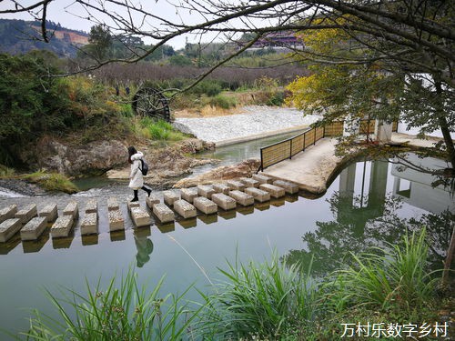 酉阳县委书记祁美文：携手塑造具有标志性、辨识度的数字化建设合作成果