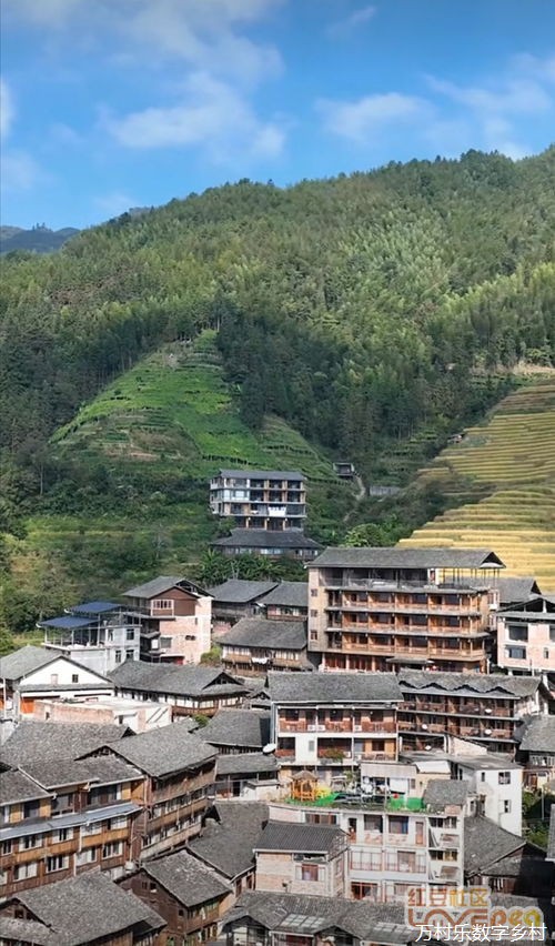 深耕数字乡村建设 打造智慧农村“新生态”