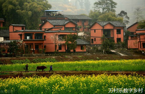 雁洋镇阴那村 变“美丽乡村”为“美丽经济”