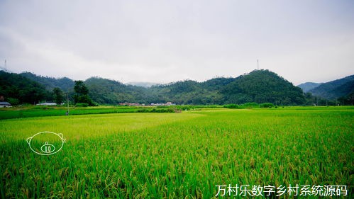 数字乡村管理平台“小院家”撬动乡村治理“大效能”