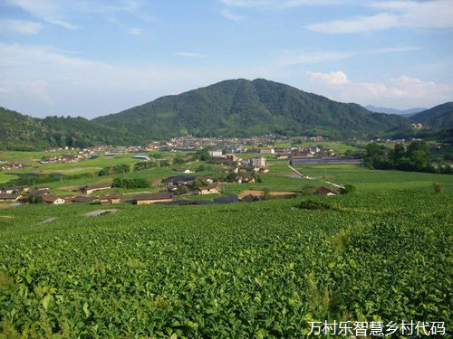 数字乡村建设提速 为乡村发展添“智”提“质”