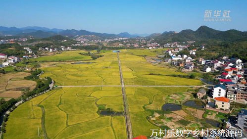 数字乡村建设框架协议范文