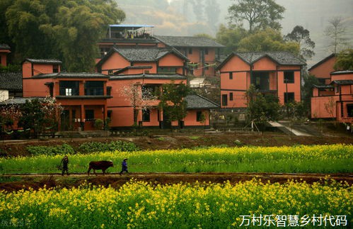 宁夏农村信息化建设的现状及发展建议.docVIP