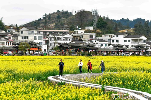 农村田园综合体：乡村振兴之路