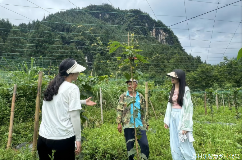 湖南师范大学法学院研究生赴桑植县龙潭坪镇暑期社会实践团：聚力红色法治，赋能乡村振兴(图12)