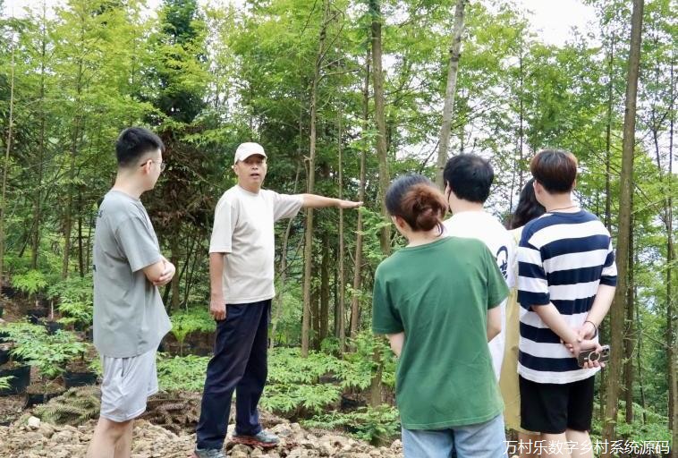 湖南师范大学法学院研究生赴桑植县龙潭坪镇暑期社会实践团：聚力红色法治，赋能乡村振兴(图11)