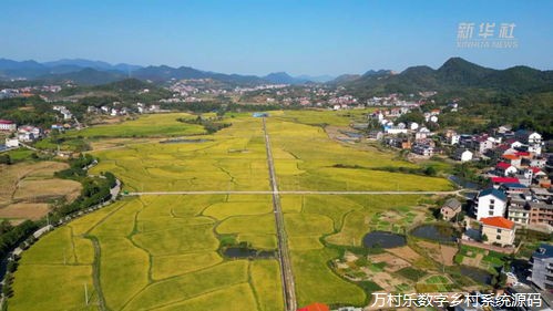 绿色乡村，健康生活：探索与实践