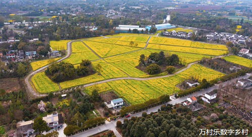 农业机械化进程中的发展、挑战与前景：以乡村经济与农民增收为核心