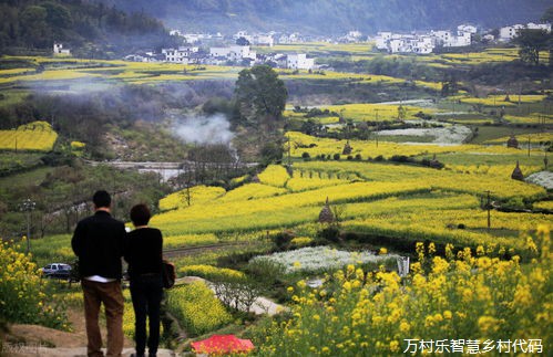 循环农业助力乡村振兴：概念、挑战、技术实践与政策探索