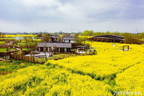 智慧农业发展：未来乡村的振兴之路